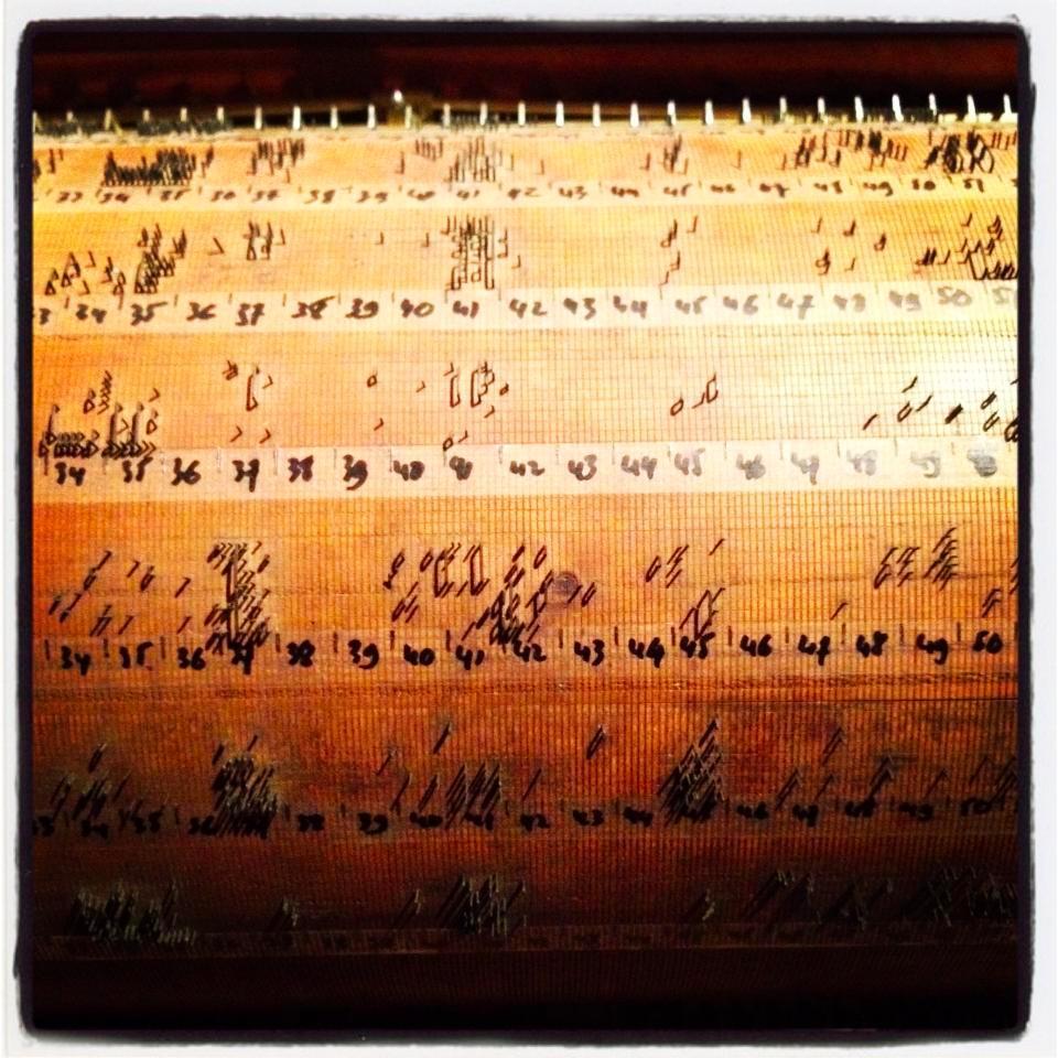 Laplaptwit's profile picture. @JustLooking / @OLYMPIAHALL