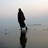 radeeh's profile image