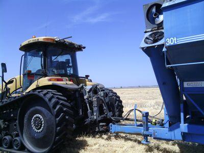 4th generation Darling Downs grain and beef cattle producer.