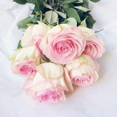 احببتكِ ب طريقه ابديه مخلده لن تطولها يد النسّيان ~