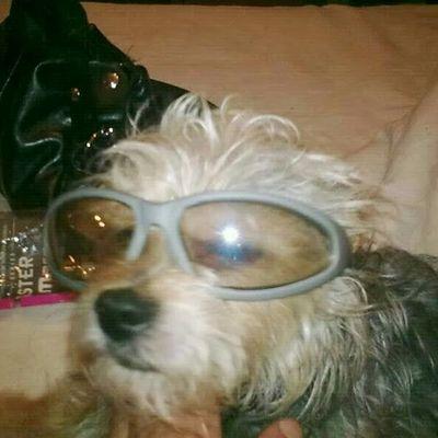 nievescano70's profile picture. dicen ke vuelvo locos a los cuerdos y cuerdos a los locos.no hay manicomio que me acepte.mi xispa de locura para ser feliz