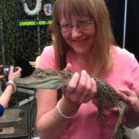 Clare π¦π¦π³ (@clare_taz) 's Twitter Profile Photo Clare π¦π¦π³ (@clare_taz) 's Twitter Profile Photo