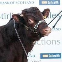 SimonGee12's profile picture. 