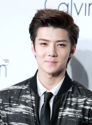 AbangOhSehun's profile picture. Maknae of EXO  | #Leave entahlah
