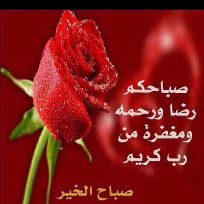 ‏محبه للوطن وتحمل همومه من بيت دبلوماسي