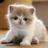 danamarie1024's profile image