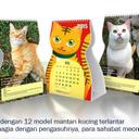 Kucing Sahabat Kita♥ (@SahabatMeong) Twitter