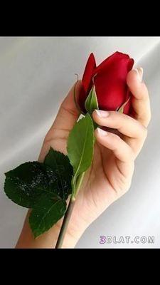 ‏‏احب الجميع واتابع الجميع وقبل صداقة الجميع