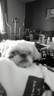 SaraVeeDoubleU's profile picture. Sara, 19. 
Sometimes you have to lose yourself in order to find yourself. Embrace change, always. Never lose hope :)