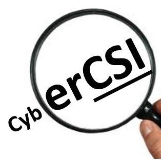 Cyber Consultants, Investigators and Trainers