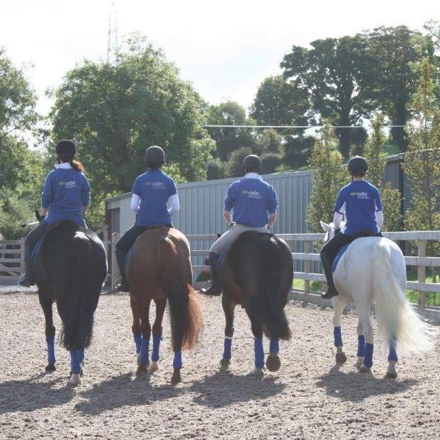 CAFRE Enniskillen Campus offering a wide range of equine courses for students wishing to study at FE or HE level. Industry training provided across NI & online.