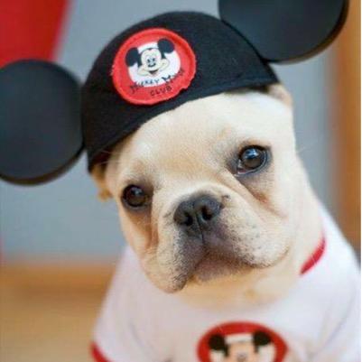 If you can dream it, you can do it. - Walt Disney