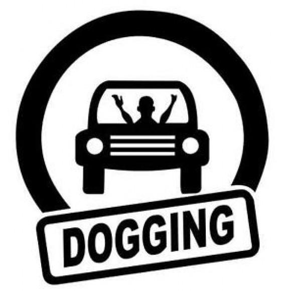 dogginers's profile picture. Meet your dogging partner here: https://t.co/jhCJAlBTjK
