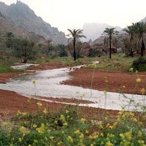 استغفرالله وأتوب إليہّ