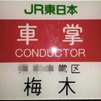 H UMEKI (@k0be_jp) 's Twitter Profile