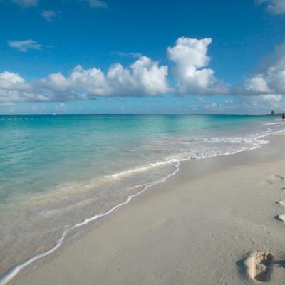 arubakim's profile picture. 