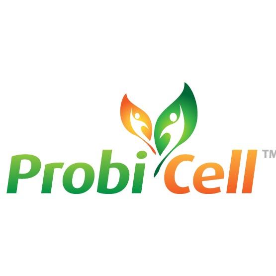 Advanced Probiotic Yeast Cleanse Formula