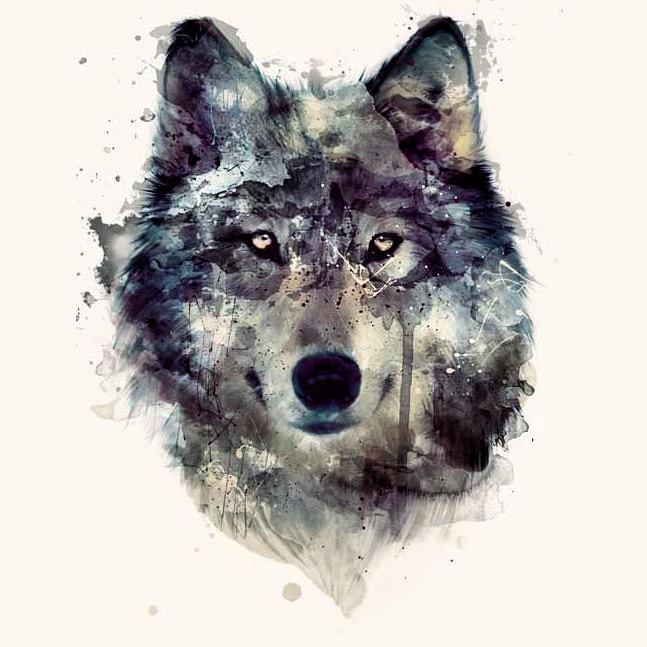 Ambitiously Livin to Prosper from Higher Actions #ALPHA ... For features or information contact us @ alphapackcentral@gmail.com