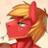 BigBuckintosh's profile image