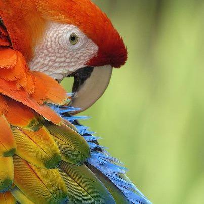 DasMd71's profile picture. Am allwase fine