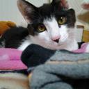 Boreum Kim - @d0507293cd00470 - Twitter