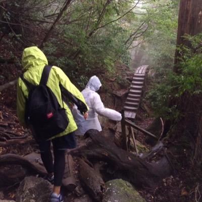 ぽんこつ社会人
