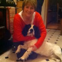 Lorraine (@johnston910) 's Twitter Profile