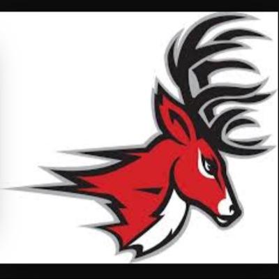 BCSSliteracy's profile picture. Reading can take you many more places than a plane!