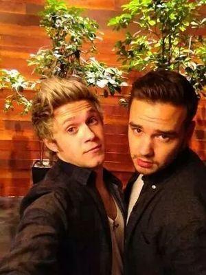 ❤just have one dream ❤and love one band ❤it's one direction❤