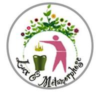Lux et Métamorphose (@lightinglm) 's Twitter Profile