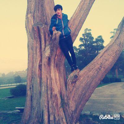 Sin vida social