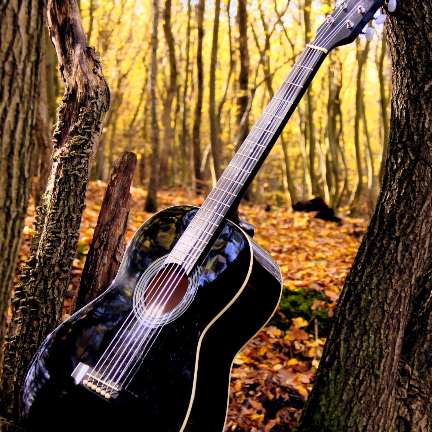 gyorgy16's profile picture. 