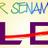 SenamALEA's profile image