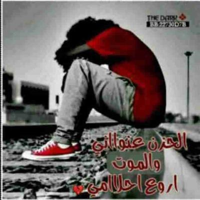 0Q1xhOSdbUL4TNy's profile picture. 