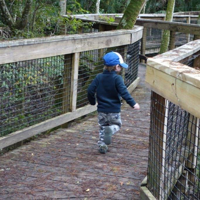 lunsworth1's profile picture. Queen's Athletics & Recreation Manager, Marketing, Communications and Events