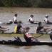 Kerr Cup Regatta (@kerrcupregatta) Twitter profile photo