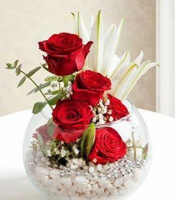 shadiaafrin203's profile picture. 