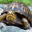 jaron cooper - @jaron_cooper - Twitter