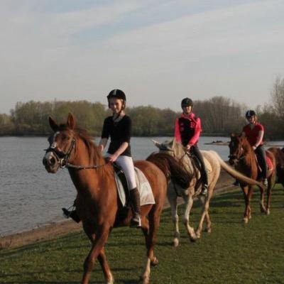team: @dixidanielle, @sanne_pardoes, @kajsss10// verlotingen, give awayss // love for horses // ask for tips // follow = followback // vragen zijn welkom :)