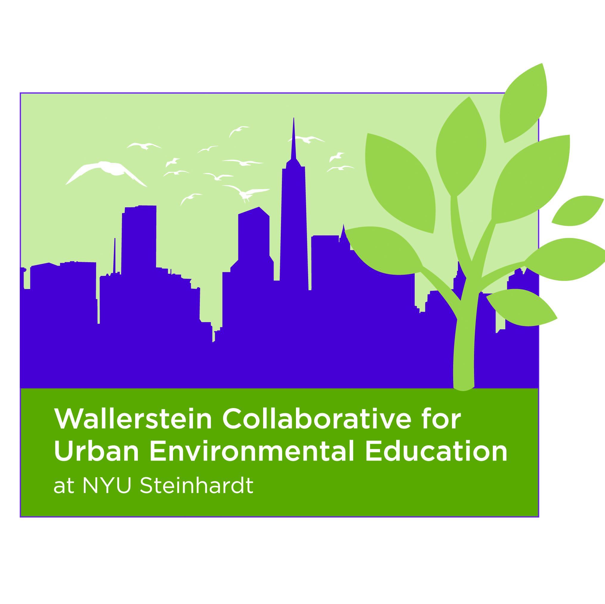 nyuwallerstein Profile Picture