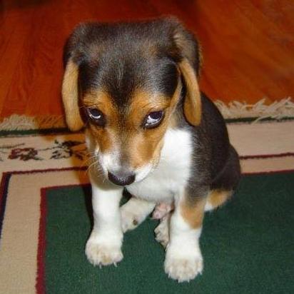 zero19996's profile picture. 