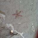 Sue Peyton - @suepeyton - Twitter