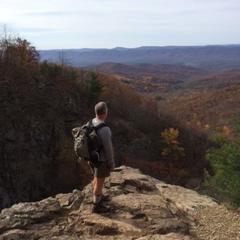 mpspollen's profile picture. 