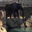 Jakob Ford - @FordJakob - Twitter