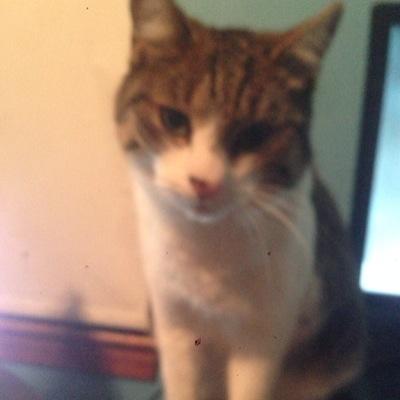 lPryzm's profile picture. 