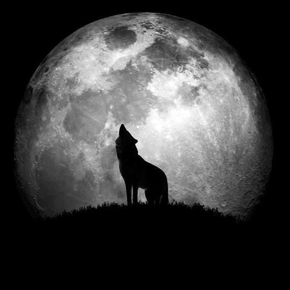 Alexey_Painter's profile picture. Graphic Designer and Illustrator. Check out my Latest work on Shutterstock portfolio  and feel free to email me: aleksey.painterx@gmail.com