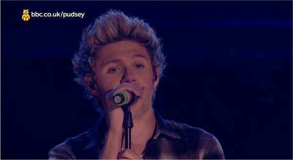 I love you Niall is my life, Directioner, incredible year!