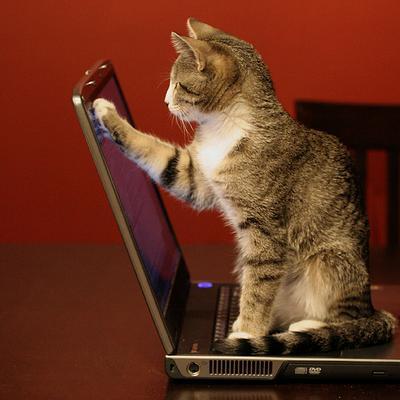 Iamcleanmachine's profile picture. I clean laptops @GA_LA $2 for fresh and clean equipment. An SBDI production. Meow.