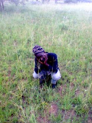 hleks6's profile picture. 