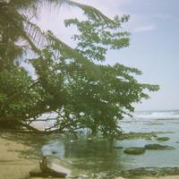 Eric Jackson (@jackson8201) 's Twitter Profile